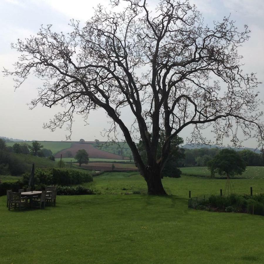 Appartamento Beautiful Devon *